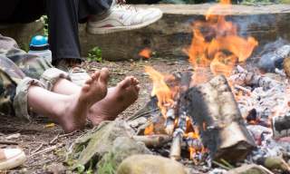 Wildlife Explorers Club (8 to 13 years)