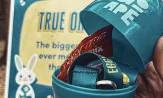 Easter Holidays at Go Ape Coventry