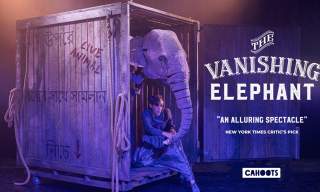 The Vanishing Elephant