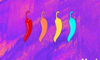 Cov Sauce Summer Discotheque