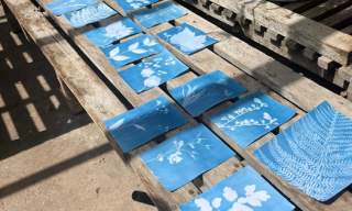 Cyanotypes Printing Workshop