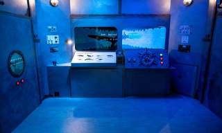 Unearth the Paleoverse: Dig Into the Dawn of Time