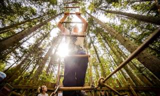Go Ape Coventry