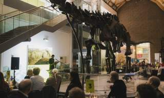 Herbert Art Gallery & Museum