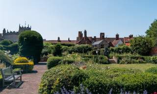 Garden Tours at Shakespeare's New Place