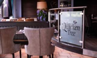 The Quicken Tree