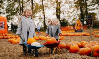 Apley Farm Shop's Haunted Harvest