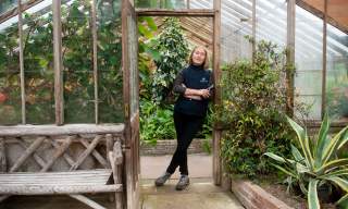 Lunch with Weston's Head Gardener