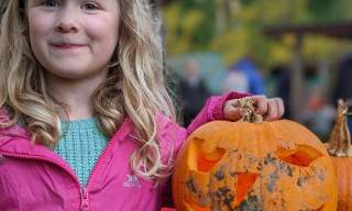 Wrekin Forest School Halloween and Bonfire Night extravaganza
