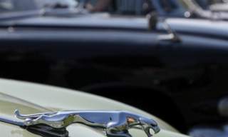 Classic Car & Motor Show (Ragley Estate)