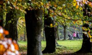 Gosford Forest Park