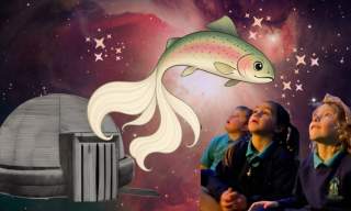 Story Dome: The Salmon of Knowledge