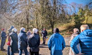 Bat Experience Walk | Downhill Demesne