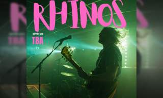 Rhinos