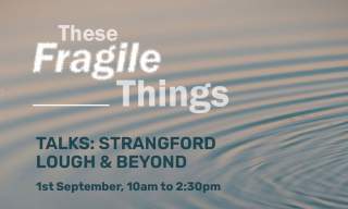 These Fragile Things: Strangford Lough & Beyond