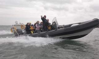Eco Boat Tours of Strangford Lough