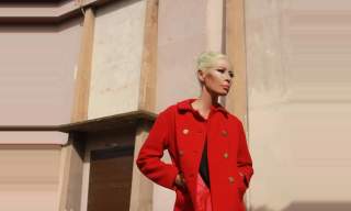 Transvision Vamp