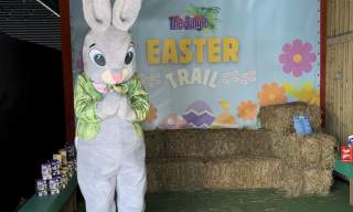 Easter Trail at The Jungle NI