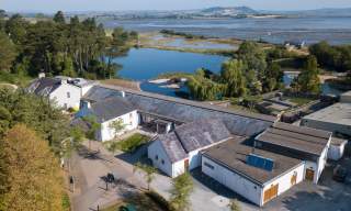WWT Castle Espie Wetland Centre