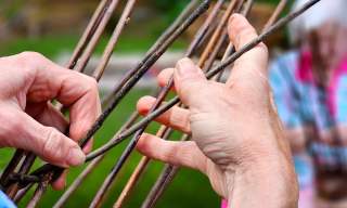 Weave a Willow Flower Support in the Walled Garden