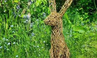 Weave a Willow Hare Sculpture in the Walled Garden