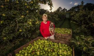 Armagh Cider Company