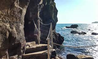 Gobbins Sea Safari with Abhainn Cruises