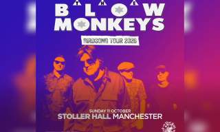 The Blow Monkeys