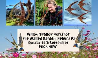 Weave Willow Swallows and Swifts in the Walled Garden