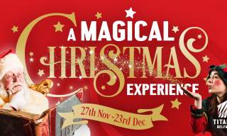 A Magical Christmas Experience