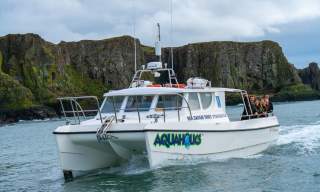 Discover Scuba Diving by Carrick-a-Rede Rope Bridge