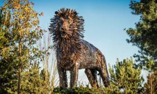 C.S. Lewis & Narnia Tours Belfast