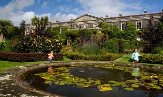 Mount Stewart