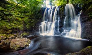 Glenariff Forest Park