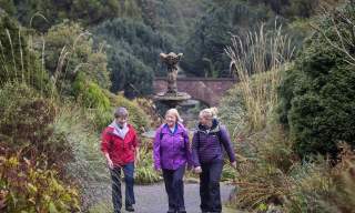 Castlewellan Forest Park