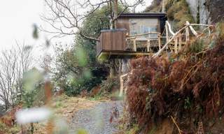 Balance Treehouse