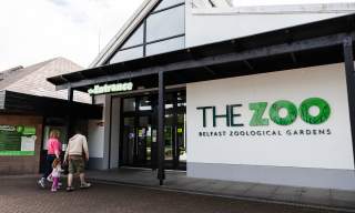 Belfast Zoo