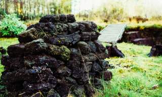 Bogland: Past, Present, Future