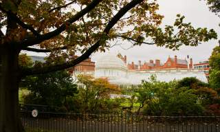 Belfast Botanic Gardens and Palm House