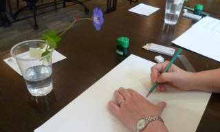 Spring Botanical Art Workshop and Garden Tour with Ali Walker and Rob Wilson