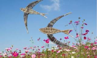 Weave Willow Swallows and Swifts in the Walled Garden