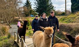 Trek & Treat: Family Halloween Alpaca Trekking & Bouncy Castle Experience