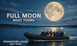 Full Moon Boat Tours