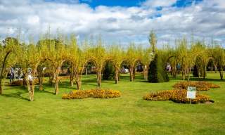 Bangor Castle Walled Garden