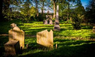 Clifton House - Taster Clifton Street Cemetery Tours (30 min tour)