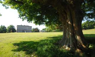 The Palace Demesne Public Park