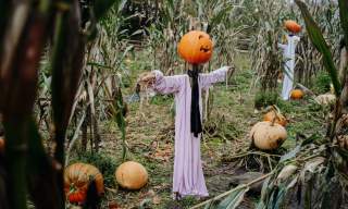Hallowe'en at Ulster American Folk Park
