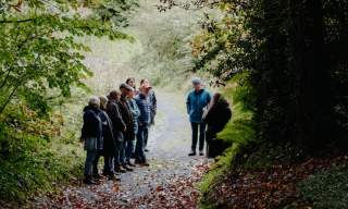 Autumn Foraging