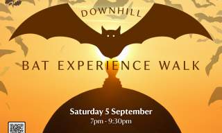 Bat Experience Walk | Downhill Demesne