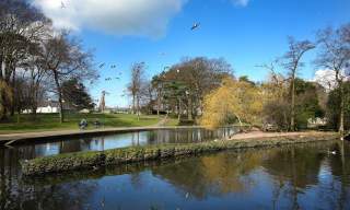 Ward Park